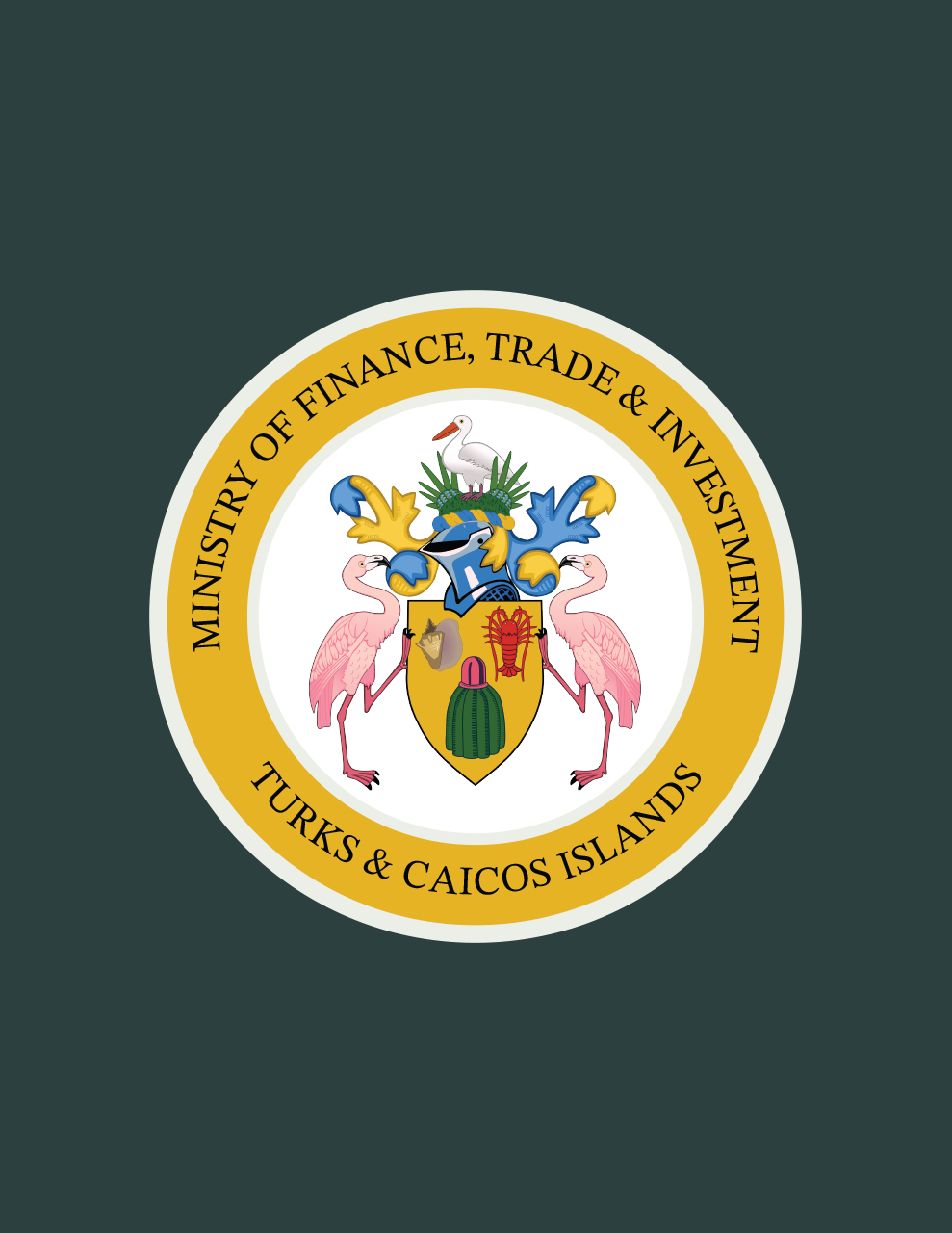 Turks and Caicos Islands Citizens’ Guide to the Budget 2025-2026_Page_01 Large